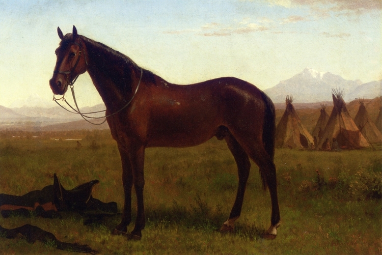 Albert Bierstadt Oil Painting Portrait of a Horse